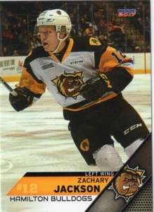 2016/17 Hamilton Bulldogs - ZACHARY JACKSON - Picture 1 of 1