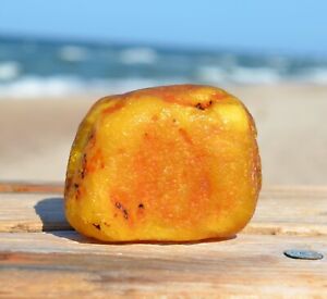 Extra large Baltic amber, raw amber stone, genuine Baltic sea amber, 90.78 grams
