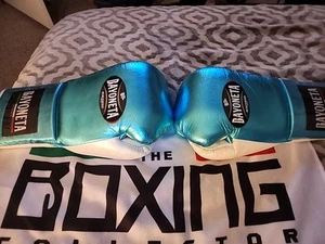 Bayonetta 16 Oz Boxing Gloves - Picture 1 of 6