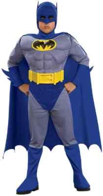 Batman Brave Bold Gray Blue Superhero Fancy Dress Up Halloween Child Costume - Image 1 of 2