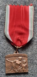 REGNO D'ITALIA MEDAGLIA SOCIETÁ NAZIONALE DANTE ALIGHIERI CONGRESSO TRIESTE 1919 - Picture 1 of 15