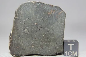NWA 7191 L Melt Rock Meteorite 59.3 gram main mass with bowed shock wave & metal - Picture 1 of 1