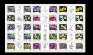 SARK 2025 uk britain Wildflowers Definitive flowers Crocus Lavender 2X15v GUTTER - Picture 1 of 1
