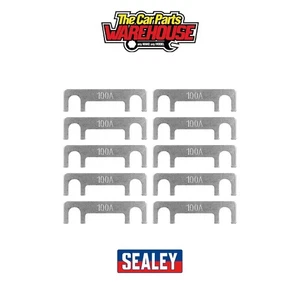 Sealey SUPERSTART550E.F10 Fuse for SUPERSTART550E 100A - Pack of 10 - Picture 1 of 1