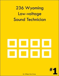Técnico de sonido de bajo voltaje ICC 236 Wyoming - Imagen 1 de 1