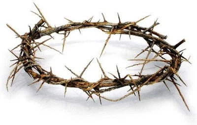 Auténtica corona de espinas bíblica tamaño real 12" con certificado Foto 1 de 3