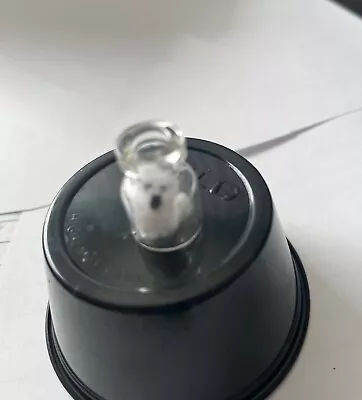 Ghost in a Bottle- 1:12 dollhouse miniatures Gailslittlestuff Witch