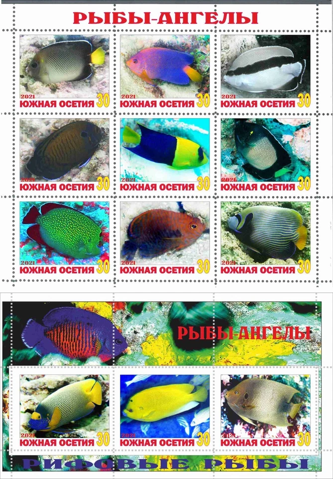 Лист марки + блок рыбы-ангелы коралловые рыбы выпуск 2021 Южная Осетия - Изображение 1 из 1