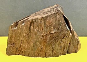 Vintage African Hardwood Paperweight Desk 12.8 Ozs NICE Solid Unique - Picture 1 of 8