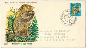 1965-FDC-Maximumkarte-Alpenmarmotte-Bern-Helvetia-Pro Juventute - Bild 1 von 2