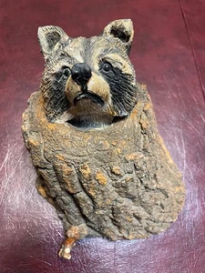 JOHN KITTELSON "PEEK-A-BOO" RACCOON COWBOY ARTISTS of AMERICA RARE! - Picture 1 of 6