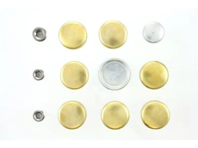 Kit de enchufe de expansión 59168RMDW 1989 1990 1991 1992 para Dodge D150 1988-1993 Foto 1 de 2