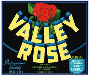 ORIGINAL VALLEY ROSE APPLE CRATE LABEL WATSONVILLE VINTAGE SANTA CRUZ CO 1940S  - Picture 1 of 1