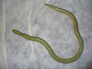 Serpiente de madera flexible Toysmith 06/12 - Imagen 1 de 4