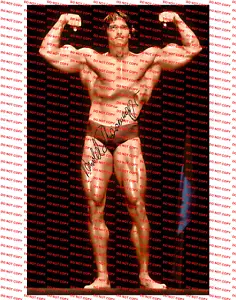 ARNOLD SCHWARZENEGGER – GROSSFOTO - DRUCK !!! - Bild 1 von 1