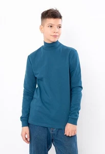 Long Sleeve (Boys) – Warm Turtleneck for Teens, Demi-season,  Nosi svoe 6236-... - Picture 1 of 5