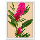 Tropical Botanical Exotic Pink Floral Framed Wall Art Picture Print A4