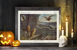 POSTER PRINT Spooky Barn Owls and Little Owls Halloween Decoration Rustic Decor - Picture 1 of 5