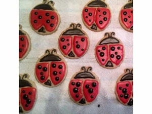 Lady Bug Cookie Cutter For Kids And Adults Fun - Picture 1 of 1