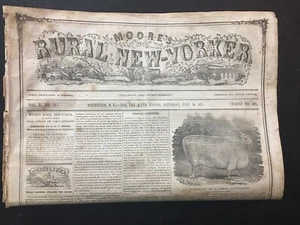 Mormon LDS Suspend Sealing Utah 1859 Kansas Women’s Rights - Picture 1 of 8