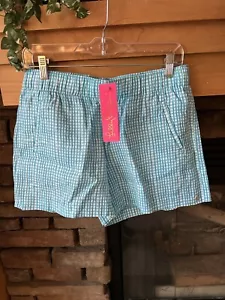 NWT Lilly Pulitzer Lilo Linen Shorts Seabreeze Blue Along the Same Line Check M - Picture 1 of 4