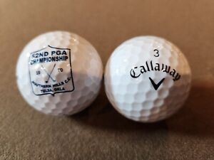1970 PGA Championship Golf Ball Southern Hills CC REPRINT