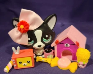 Autentico servizio fotografico Littlest Pet Shop 2245 Corgi cane nero bianco verde occhio a pois - Foto 1 di 8