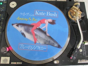 KATE BUSH - Symphony In Blue ULTRA RARE 12" JAPAN PICTURE DISC LP + POSTER - Picture 1 of 2