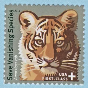 2011 AMUR TIGER CUB STAMP SIBERIAN TIGER SAVE VANISHING SPECIES CAT 1st Print - Picture 1 of 1