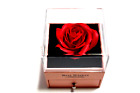 BEST WISHES RED ROSE +GOLDEN HEART NECKLACE A FRIEND IS A LOVING COMPANION