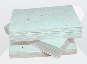 Semilla de flores silvestres plantables 250 g m tarjetas de visita en blanco, papel sembrado 250 g m. - Imagen 1 de 9
