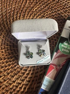 Wilde Pearl Vergissmeinnicht ausgefallene irredeszenten Ohrringe neu in Box - Bild 1 von 6