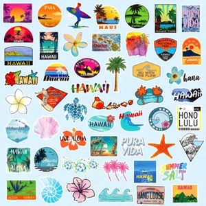 100pcs Hawaii Beach Summer Hot Vinyl Stickers Snowboard Luggage Car Laptop Phone - Picture 1 of 11