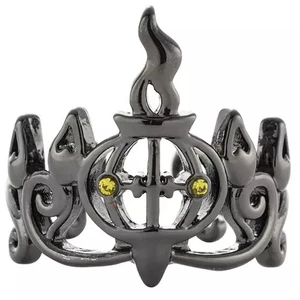 Zubehör Chandellenring Pokemon Zubehör 45 Pokemon Pokemon Center Limitiert - Bild 1 von 3