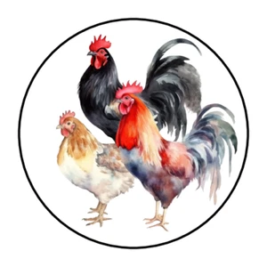 Chicken stickers tags envelope seals egg carton labels - Picture 1 of 2