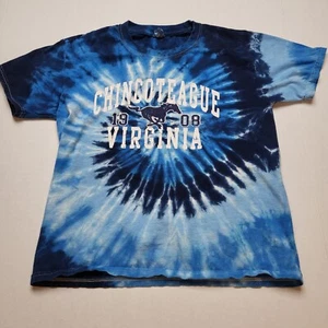 Chincoteague Virginia Boys T-Shirt M Tie Dye Blue Horse Youth □8 - Picture 1 of 6