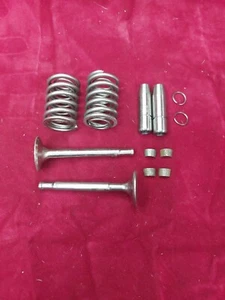 Triumph Tiger Cub T15 Terrier Engine Cylinder Head Valve Kit - Picture 1 of 7