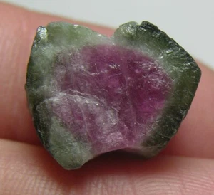16.55ct Afghan Natural Raw Watermelon Tourmaline Crystal Specimen 3.25g 16mm - Picture 1 of 7