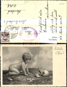 66660,Künstler Ak Ostern Nacktes Kind Küken schlüpft a. Ei Blumen - Picture 1 of 1