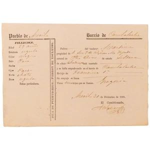 Documento de registro para una mujer esclavizada en Puerto Rico / 1868 - Imagen 1 de 1