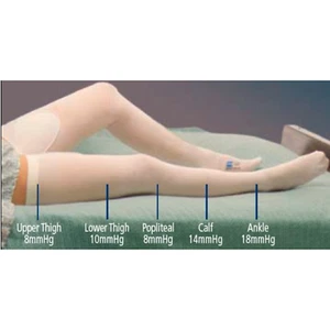 T.E.D. Thigh Length Anti-Embolism Stockings X-Large, Long - Picture 1 of 1
