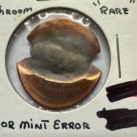 Lincoln Cent Mushroom Cent Mint Error Rare Cover