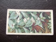 Wild flowers cards (series 3) # 1-10 choose card/s