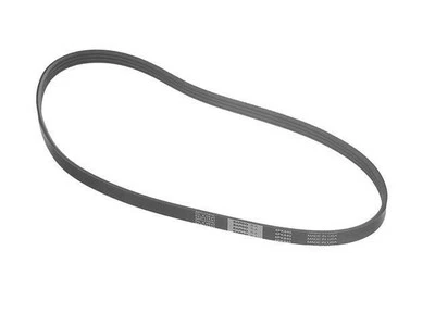 For 1990, 2000-2006 Nissan Sentra Multi Rib Belt 42724GVGB 2005 2001 2002 2004 - Image 1 of 2