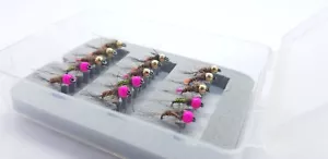 Barbless Micro Nymph Tungsten Pheasant Tail Sz 14,16,18 Box Trout River Fishing - Picture 1 of 24