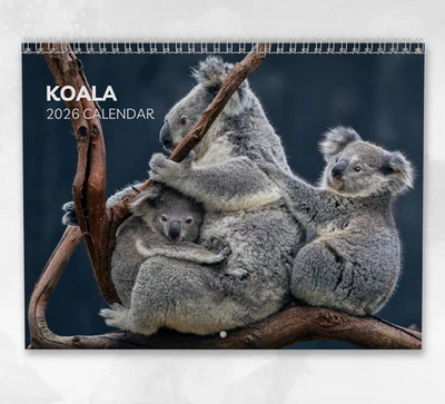 BOYCE PUBLISHING Koala Calendar 2026: Monthly Wall Calendar with Notes, opens to A3 Size