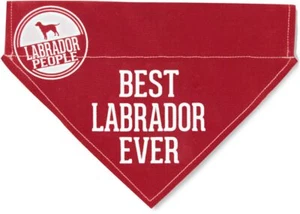Labrador Bandana - Canvas 11.75 X 8.5 - Picture 1 of 1