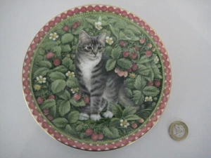 LESLEY ANNE ELFENBEIN LESLEY'S CATS SAMMELTELLER MEET MY KITTENS JULI GEMMA - Bild 1 von 11