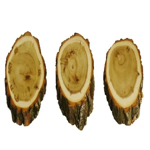 3 Pieza Ciervo Escudo de Trofeo Acacia Grande Corzo Cornamenta Baumscheibe - Imagen 1 de 11