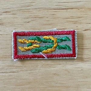 Scouting America BSA James E. West Fellowship Award quadratischer Knoten Aufnäher - Bild 1 von 2